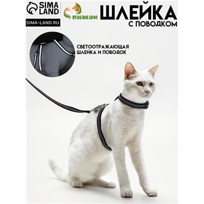 Комплект для кошек светоотражающий, ширина 1 см, шлейка 21-35 см, поводок 120 см, чёрный