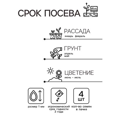Семена комнатных цветов Бегония "Гоу-гоу", ц/п,  розовая, F1, 4 шт.