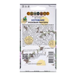 Семена цветов Котовник Розовая пантера, 10шт