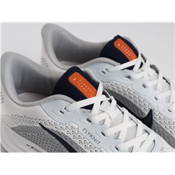 Кроссовки Nike Pegasus Plus