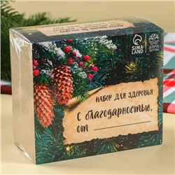 Подарочный набор новогодний«Будьте здоровы»: чай 20 г, варенье из сосновых шишек 30 г, бальзам 100 мл.