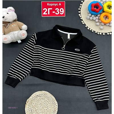 кофта 1981400-1