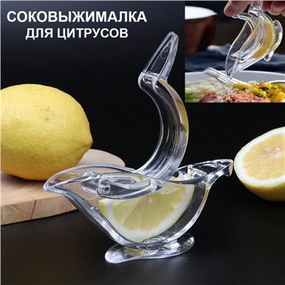 Соковыжималка для лимонов 12x4x6см