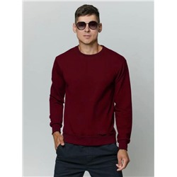 Лонгслив мужской футер двухнитка, Арт. 810 (Бордо)