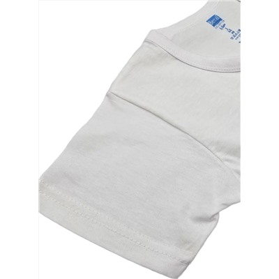 Футболка для мальчика Berrak