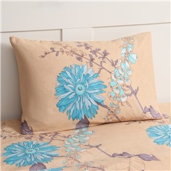 Постельное бельё 2-спальное Newday Soft time, полисатин