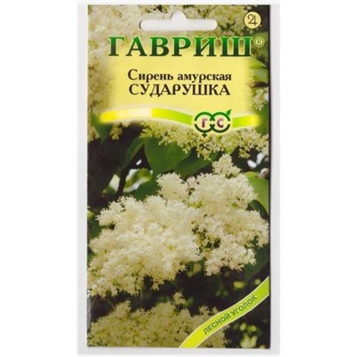 Сирень амурская Сударушка (Код: 67007)