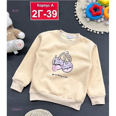 кофта с начесом 2050824-1