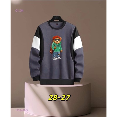 Толстовки 1733469-3