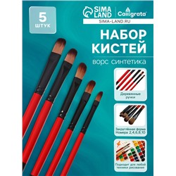 Набор кистей нейлон 5 штук, закругленные, плоские