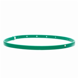 Биоошейник от паразитов «Пижон Premium» для собак, зелёный, 65 см