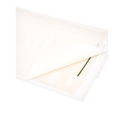 Клеевая ловушка SAFEX ДОМИК от КРЫС и МЫШЕЙ 1 шт. ЧЕРНЫЙ ЦВЕТ