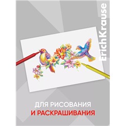 Фломастеры 6 цветов ErichKrause «light», в футляре с европодвесом