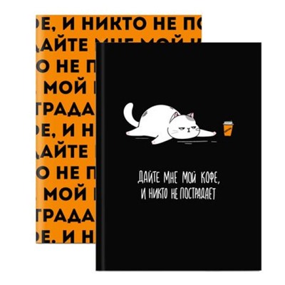 Записная книжка А6+ 96л клетка ЛАЙТ "ФРАЗЫ С ХАРАКТЕРОМ. КОТ" 68037 Феникс