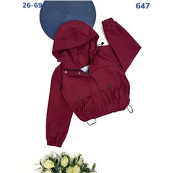 Ветровка 647 бордовый
