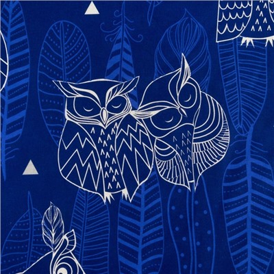 Постельное бельё евро «Этель. Ушастые совы (вид 3)», бязь