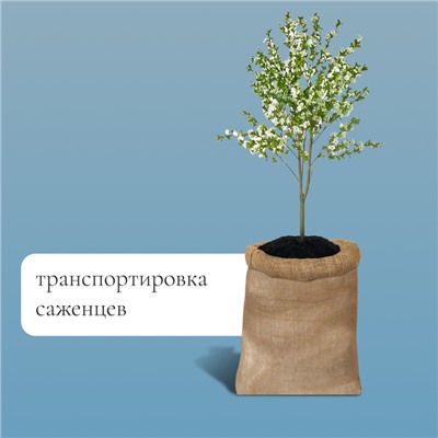 Мешок джутовый, 57×90 см, плотность 35×35 нитей, без завязок, Greengo