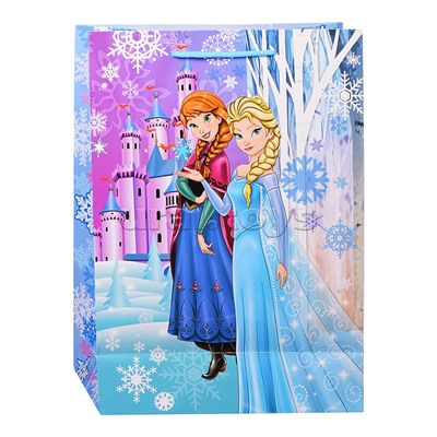 Пакет подарочный глянцевый ML, 22*31*10 см.