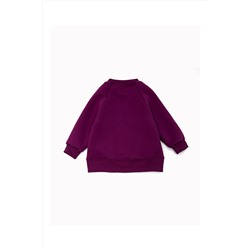 Толстовка футер начёс Эмили 40200