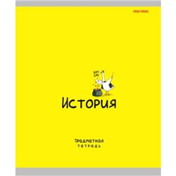 Тетрадь 48л "MINI FRIENDS" по истории 48-2510 Проф-Пресс
