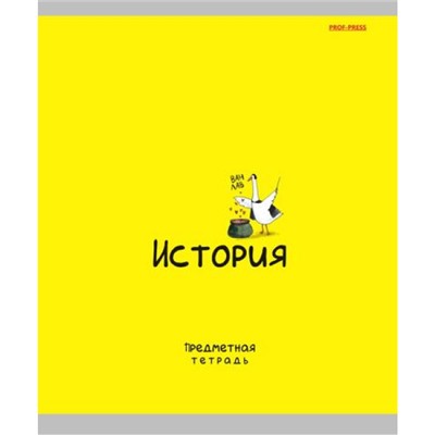 Тетрадь 48л "MINI FRIENDS" по истории 48-2510 Проф-Пресс
