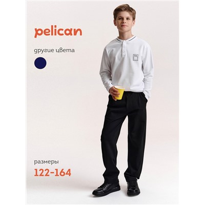 PELICAN Брюки BFPQ7045