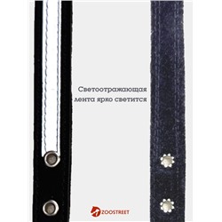 Ошейник, 35×1.5 см, с подкладом и светоотражающей лентой, кожа, чёрный
