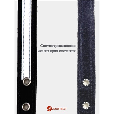 Ошейник, 35×1.5 см, с подкладом и светоотражающей лентой, кожа, чёрный