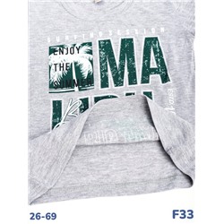Футболка F33 серый