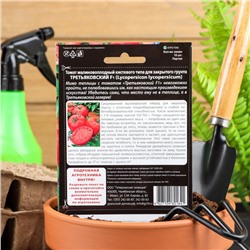 Семена томат «Третьяковский F1», среднеплодный, среднеранний, высокорослый, 10 шт.