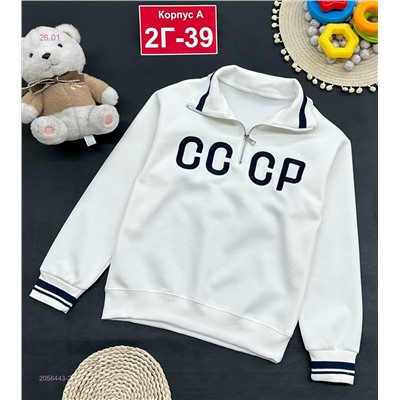 кофта 2056443-2