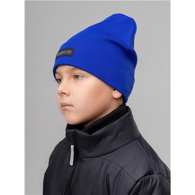 Bodo Шапка 10-310MU