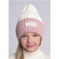 CLEVER Шапка