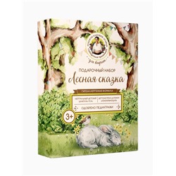 Подарочный набор для детей Рецепты Бабушки Агафьи Сибирская Травница «Лесная Сказка», 3+