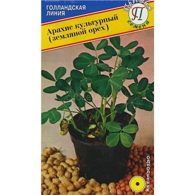 Арахис культурный (земляной орех) 5 шт (Престиж)
