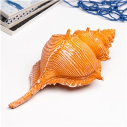 Фигурка полистоун «Ракушка», 23×11×10 см