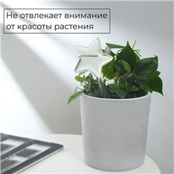 Автополив для комнатных растений «Звезда», 100 мл, ПВХ, Greengo