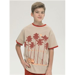 BFT4321/4 (Футболка для мальчика, Pelican )