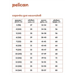 BWCT7119 (Сорочка для мальчика, Pelican )