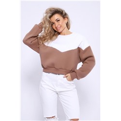 Толстовка 21011 (Коричневый)