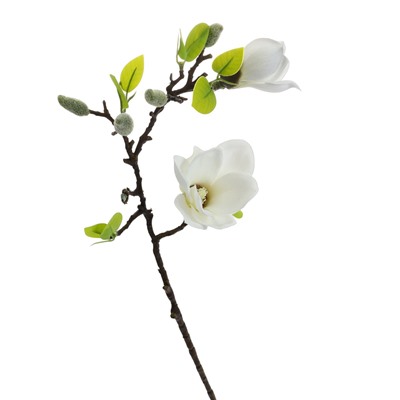 Цветы искусственные «Магнолия галант», 56×11 см, белые