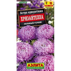 Астра Хризантелла Лиловый туман (Код: 93511)