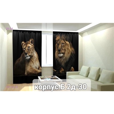 Фотошторы 3д 1923130-29