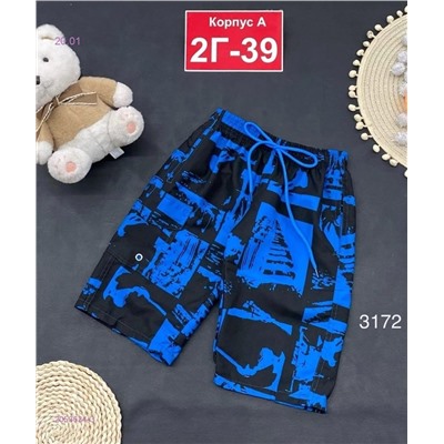 шорты 2053634-3