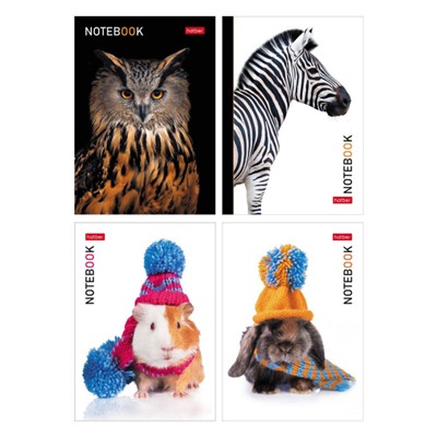 Блокнот А6 24л клетка "В мире животных" ассорти (091011) Хатбер