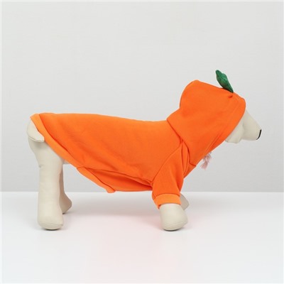 Толстовка «Любимая морковка», размер L, ДС 35, ОГ 50 см, оранжевая