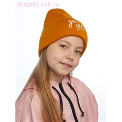 D3-2100 Колпак (54-56)