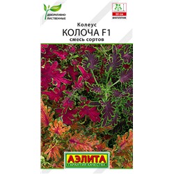 2012A Колеус Колоча F1, смесь сортов 5шт