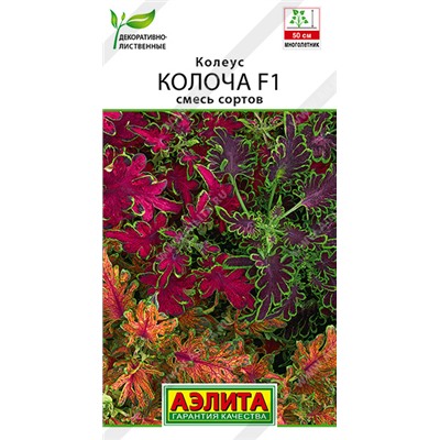 2012A Колеус Колоча F1, смесь сортов 5шт