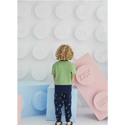 Комплект для мальчика ZEYZEY kids